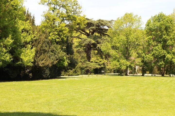 Chateau Castelrives Bessières Kültér fotó
